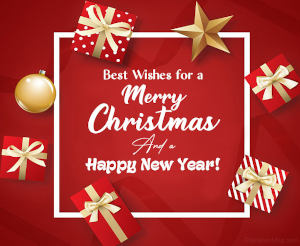 Happy Holidays from NHProEquip